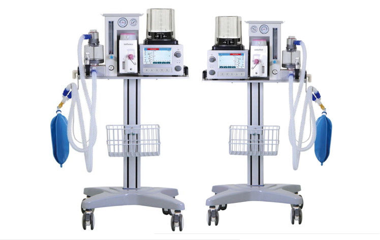 Sistem Ventilator Anestesi Hewan DM6B AC 100-240V Layar LCD Warna 7 Inci